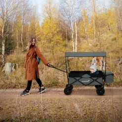 Bollerwagen faltbar mit Dach und Tasche Grau belastbar bis 80 kg HAUKI