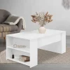 Couchtisch mit zwei Fächern 100x60x42 cm Weiß ML-Design