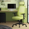 Ergonomischer Bürostuhl Grün Netzgewebe mit verstellbaren Armlehnen und Kopfstütze ML-Design