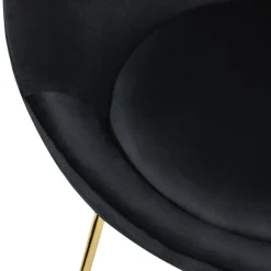Esszimmerstuhl 2er Set mit runder Rückenlehne Schwarz aus Samt mit goldenen Metallbeinen ML-Design