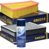 Filterset mit 400ml Klimaanlagenreiniger Ford Galaxy (WA6)