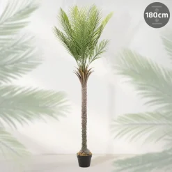 Künstliche Palme 180 cm Tropische Kunstpalme im Topf ML-Design