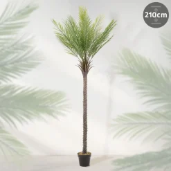Künstliche Palme 210 cm Tropische Kunstpalme im Topf ML-Design