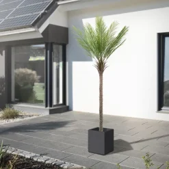 Künstliche Palme 210 cm Tropische Kunstpalme im Topf ML-Design
