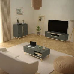 TV Lowboard Fernsehschrank 120x40 cm in mattgrün aus MDF & Kiefernholz ML-Design
