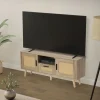 TV-Schrank Lowboard 120x50,5x30 cm Holz Eiche-Optik und Rattan Front TV-Board für Fernseher bis 55 Zoll ML-Design