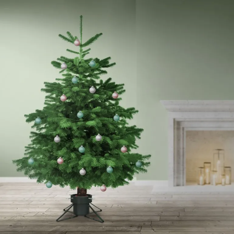 Weihnachtsbaumständer mit Wasserschale Dunkelgrün aus Metall für Bäume bis 250 cm